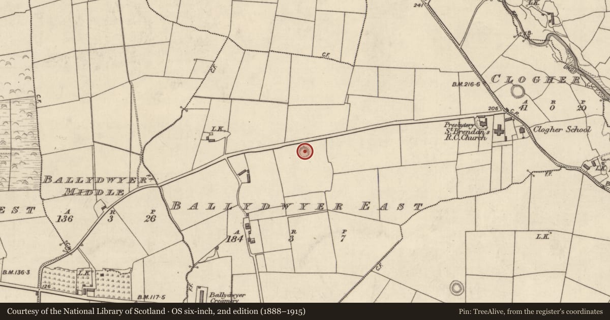 Ordnance Survey six-inch map, 2nd edition (1888–1915) covering the location of Enclosure, Ballydwyer East, County Kerry, with a pin at the register's coordinates
