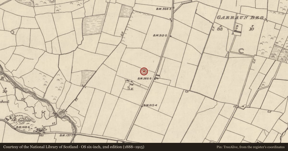 Ordnance Survey six-inch map, 2nd edition (1888–1915) covering the location of Ringfort - rath, Maglass West, County Kerry, with a pin at the register's coordinates