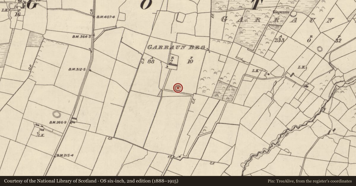 Ordnance Survey six-inch map, 2nd edition (1888–1915) covering the location of Ringfort - rath, Garraun Beg, County Kerry, with a pin at the register's coordinates