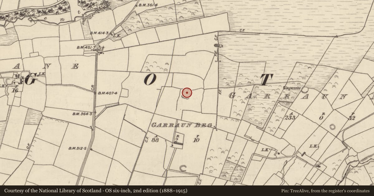 Ordnance Survey six-inch map, 2nd edition (1888–1915) covering the location of Enclosure, Garraun Beg, County Kerry, with a pin at the register's coordinates