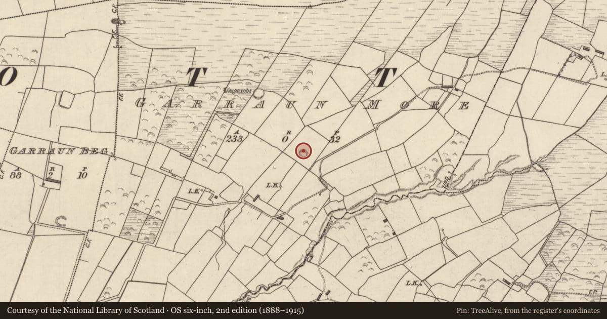 Ordnance Survey six-inch map, 2nd edition (1888–1915) covering the location of Hut site, Garraun More, County Kerry, with a pin at the register's coordinates