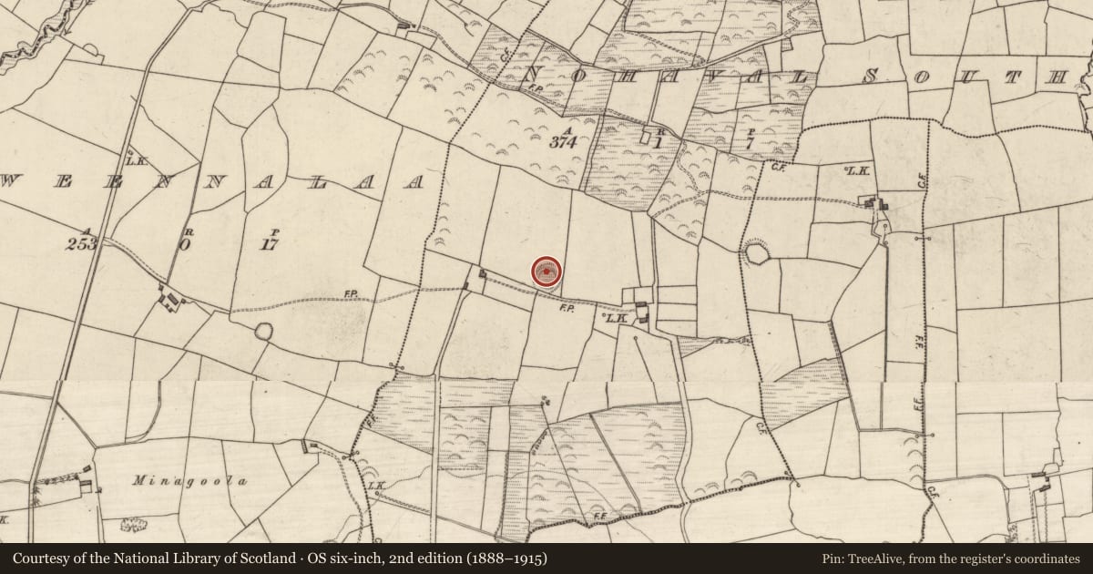Ordnance Survey six-inch map, 2nd edition (1888–1915) covering the location of Ringfort - rath, Nohaval South, County Kerry, with a pin at the register's coordinates
