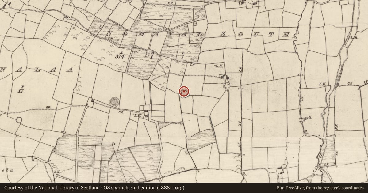 Ordnance Survey six-inch map, 2nd edition (1888–1915) covering the location of Ringfort - rath, Ballyegan, County Kerry, with a pin at the register's coordinates