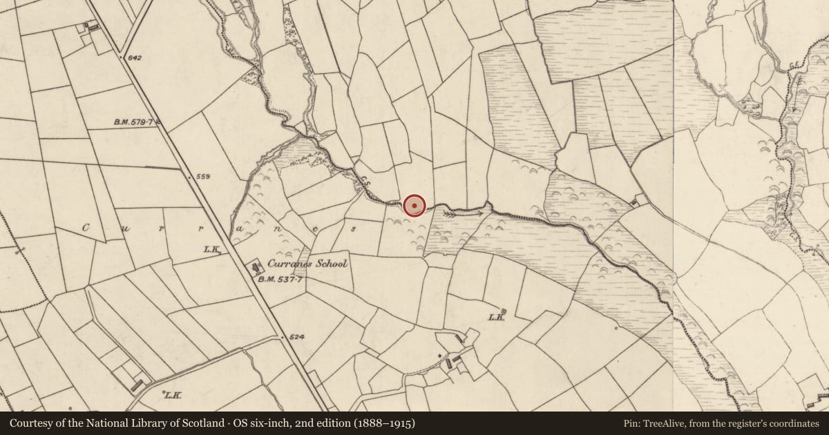 Ordnance Survey six-inch map, 2nd edition (1888–1915) covering the location of Earthwork, Tullagubbeen, County Kerry, with a pin at the register's coordinates