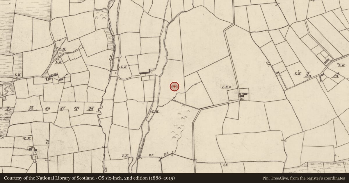 Ordnance Survey six-inch map, 2nd edition (1888–1915) covering the location of Ringfort - rath, Doolaig North, County Kerry, with a pin at the register's coordinates