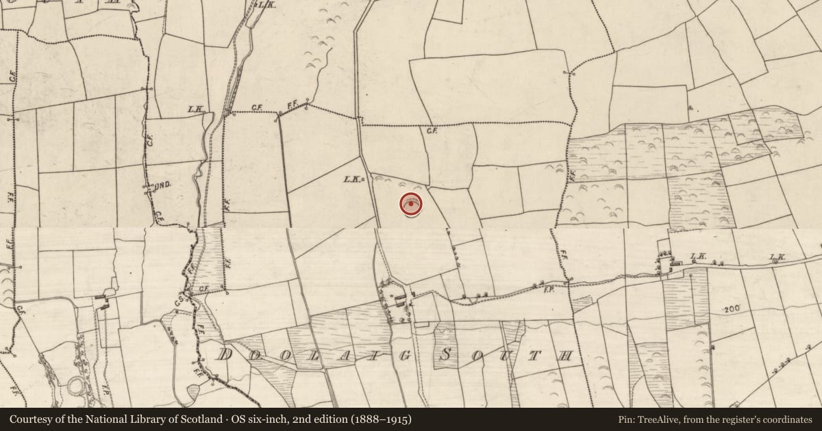 Ordnance Survey six-inch map, 2nd edition (1888–1915) covering the location of Ringfort - rath, Doolaig South, County Kerry, with a pin at the register's coordinates