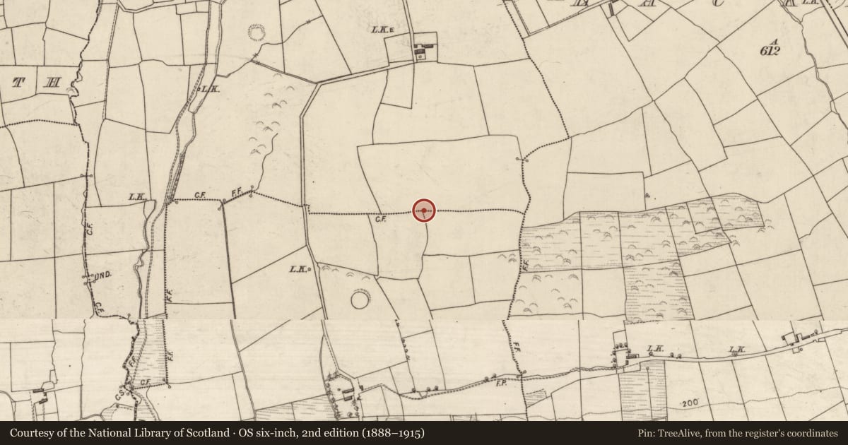 Ordnance Survey six-inch map, 2nd edition (1888–1915) covering the location of Enclosure, Doolaig South, County Kerry, with a pin at the register's coordinates