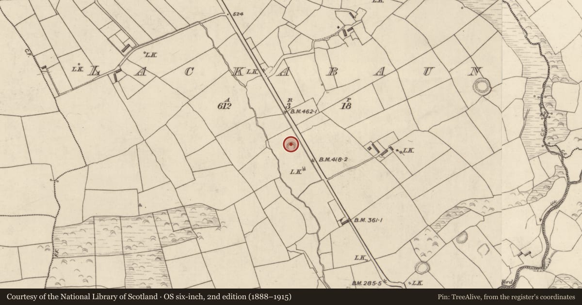 Ordnance Survey six-inch map, 2nd edition (1888–1915) covering the location of Ringfort - rath, Lackabaun, County Kerry, with a pin at the register's coordinates