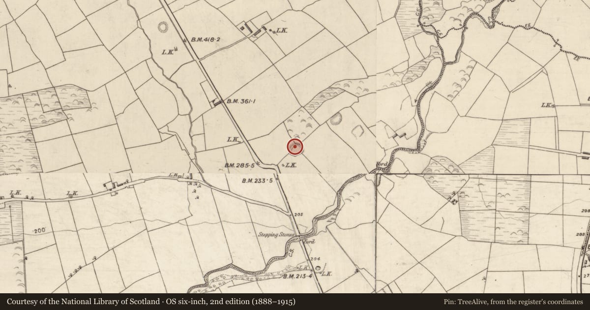 Ordnance Survey six-inch map, 2nd edition (1888–1915) covering the location of Ringfort - rath, Lackabaun, County Kerry, with a pin at the register's coordinates