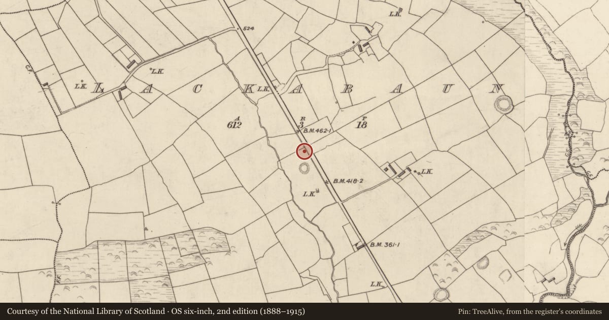 Ordnance Survey six-inch map, 2nd edition (1888–1915) covering the location of Excavation - miscellaneous, Lackabaun, County Kerry, with a pin at the register's coordinates