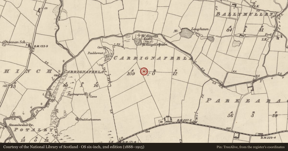 Ordnance Survey six-inch map, 2nd edition (1888–1915) covering the location of Enclosure, Carrignafeela (Trughanacmy By., O'Brennan Par.), County Kerry, with a pin at the register's coordinates