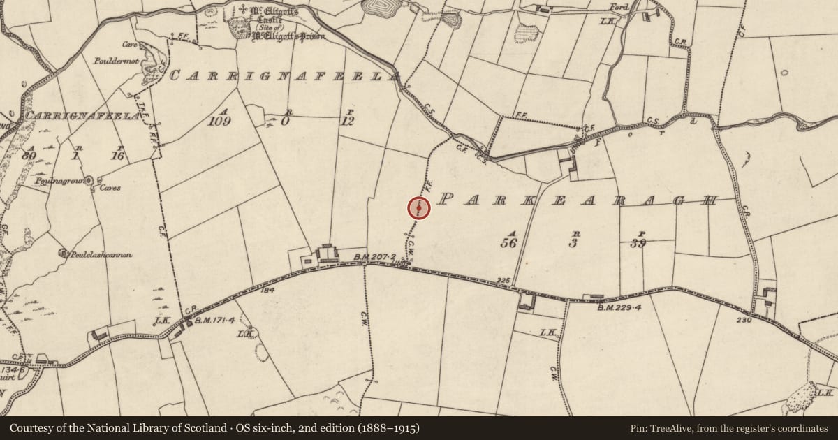Ordnance Survey six-inch map, 2nd edition (1888–1915) covering the location of Barrow - ring-barrow, Parkearagh, County Kerry, with a pin at the register's coordinates