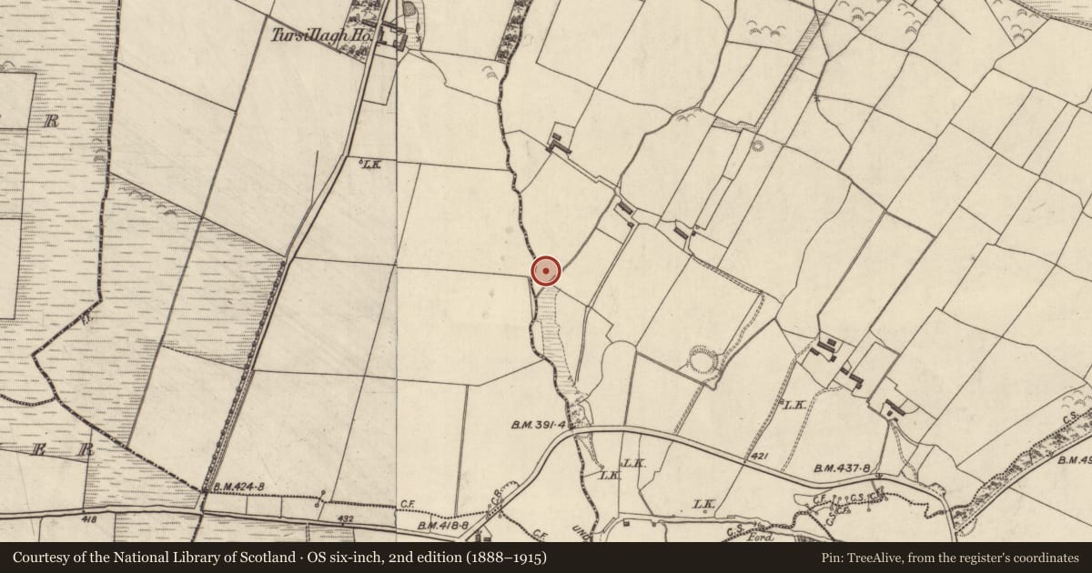 Ordnance Survey six-inch map, 2nd edition (1888–1915) covering the location of Barrow - bowl-barrow, Ballincollig, County Kerry, with a pin at the register's coordinates