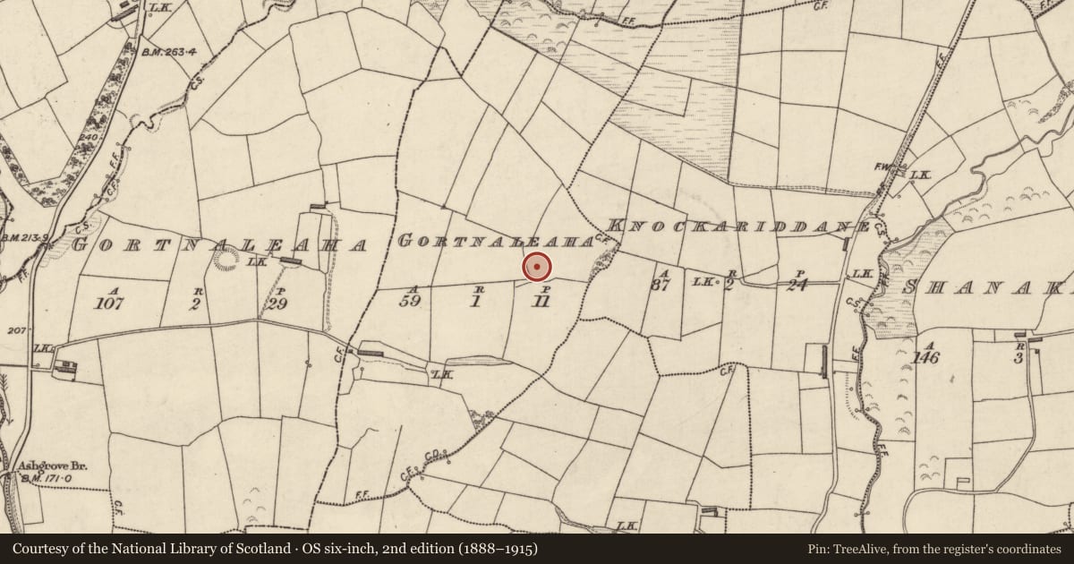 Ordnance Survey six-inch map, 2nd edition (1888–1915) covering the location of Enclosure, Gortnaleaha (Trughanacmy By., Ballymacelligott Par.), County Kerry, with a pin at the register's coordinates