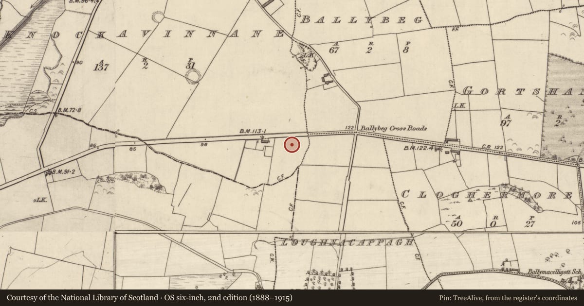 Ordnance Survey six-inch map, 2nd edition (1888–1915) covering the location of Burnt mound, Knockavinnane, County Kerry, with a pin at the register's coordinates