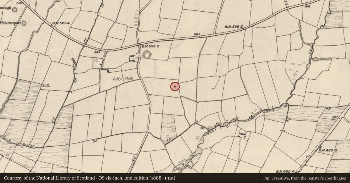 Ordnance Survey six-inch map, 2nd edition (1888–1915) covering the location of Burnt mound, Tylagh, County Kerry, with a pin at the register's coordinates