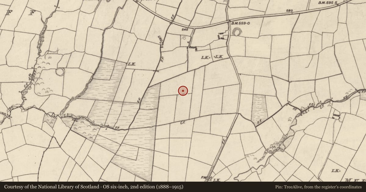 Ordnance Survey six-inch map, 2nd edition (1888–1915) covering the location of Burnt mound, Tylagh, County Kerry, with a pin at the register's coordinates