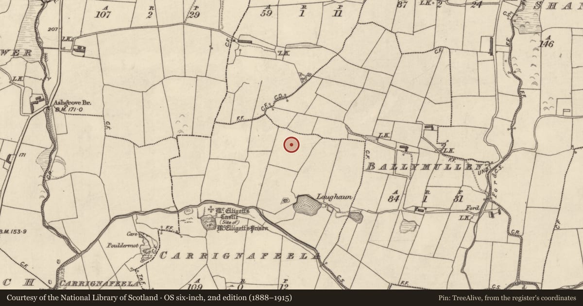 Ordnance Survey six-inch map, 2nd edition (1888–1915) covering the location of Fulacht fia, Carrignafeela (Trughanacmy By., O'Brennan Par.), County Kerry, with a pin at the register's coordinates