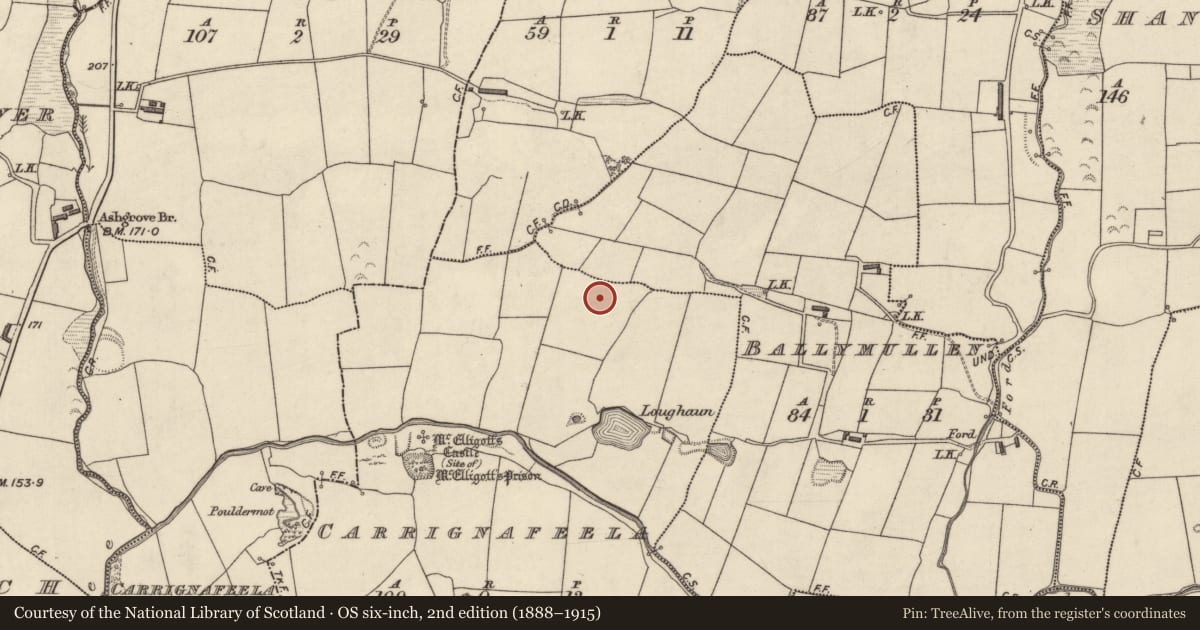 Ordnance Survey six-inch map, 2nd edition (1888–1915) covering the location of Fulacht fia, Carrignafeela (Trughanacmy By., O'Brennan Par.), County Kerry, with a pin at the register's coordinates