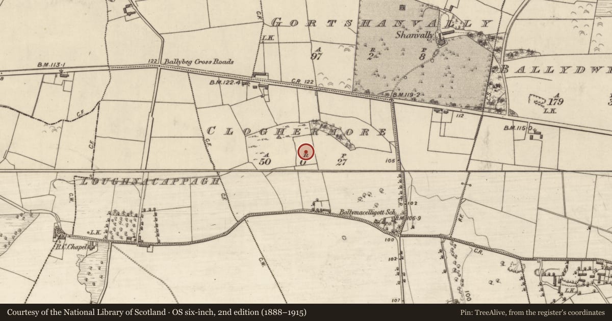 Ordnance Survey six-inch map, 2nd edition (1888–1915) covering the location of Enclosure, Cloghermore, County Kerry, with a pin at the register's coordinates