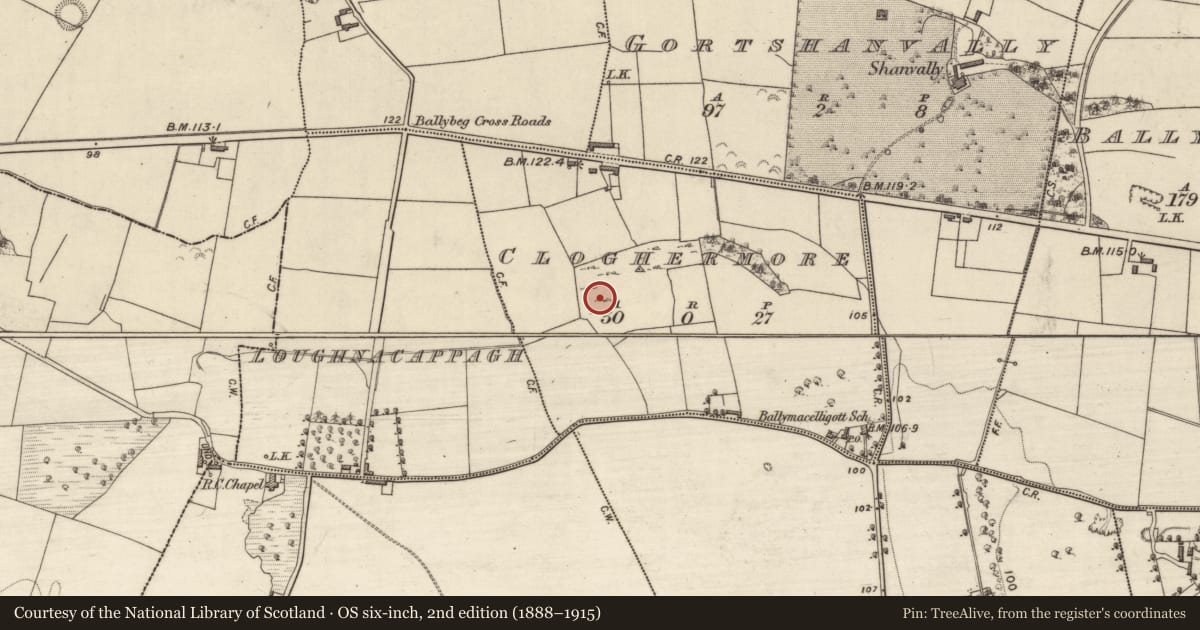 Ordnance Survey six-inch map, 2nd edition (1888–1915) covering the location of Enclosure, Cloghermore, County Kerry, with a pin at the register's coordinates