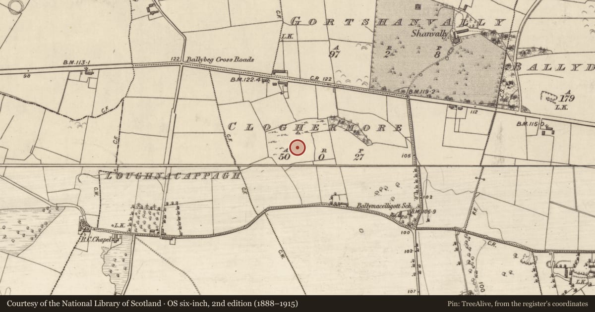 Ordnance Survey six-inch map, 2nd edition (1888–1915) covering the location of Enclosure, Cloghermore, County Kerry, with a pin at the register's coordinates