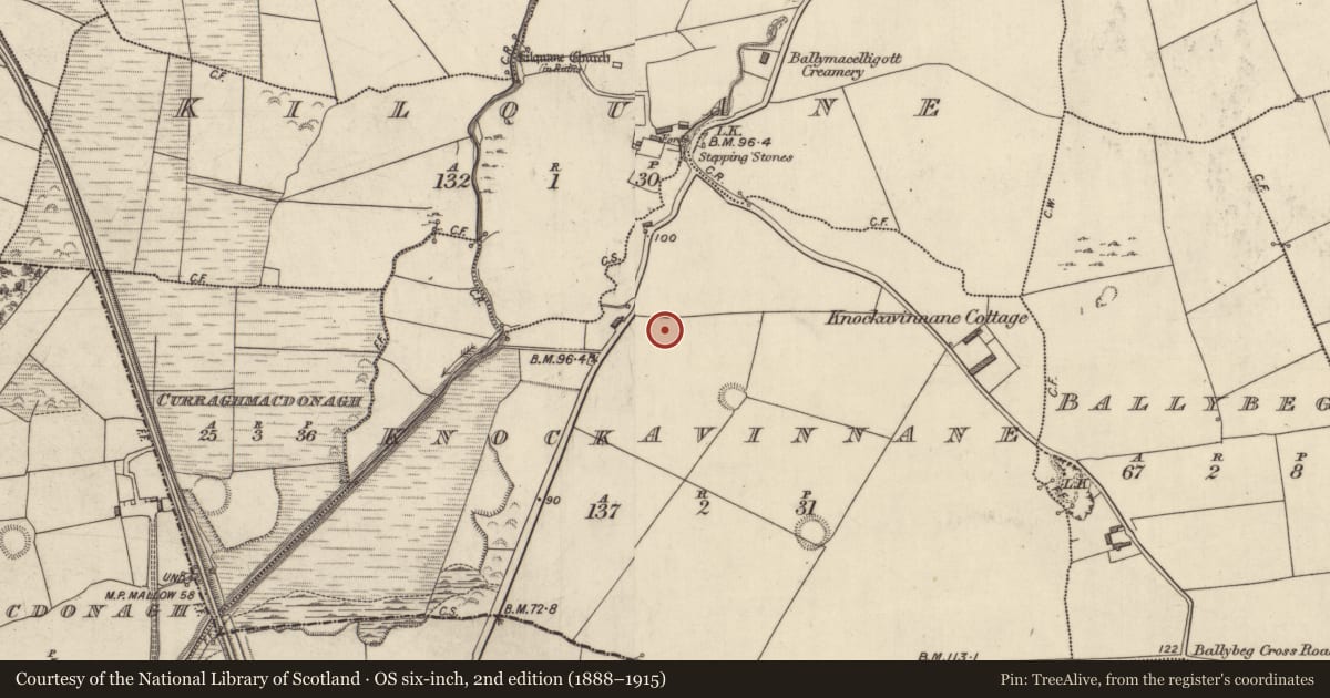 Ordnance Survey six-inch map, 2nd edition (1888–1915) covering the location of Ring-ditch, Knockavinnane, County Kerry, with a pin at the register's coordinates