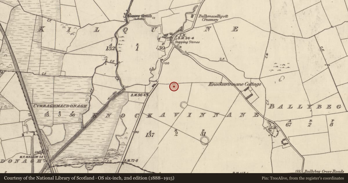 Ordnance Survey six-inch map, 2nd edition (1888–1915) covering the location of Ring-ditch, Knockavinnane, County Kerry, with a pin at the register's coordinates