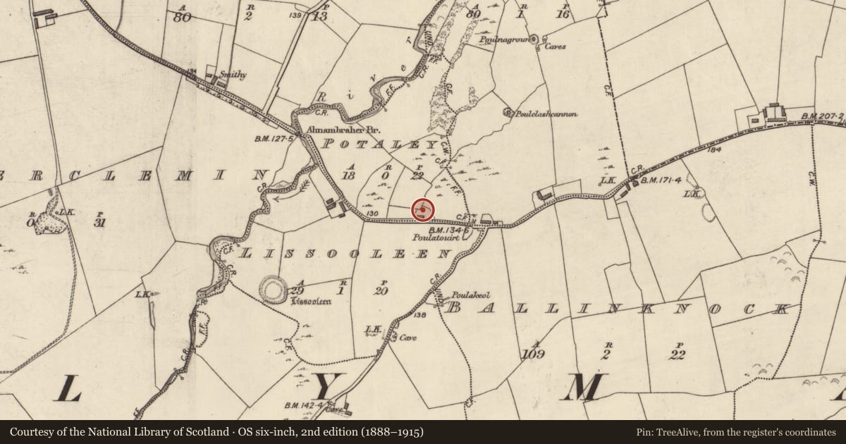 Ordnance Survey six-inch map, 2nd edition (1888–1915) covering the location of Cairn - unclassified, Potaley, County Kerry, with a pin at the register's coordinates