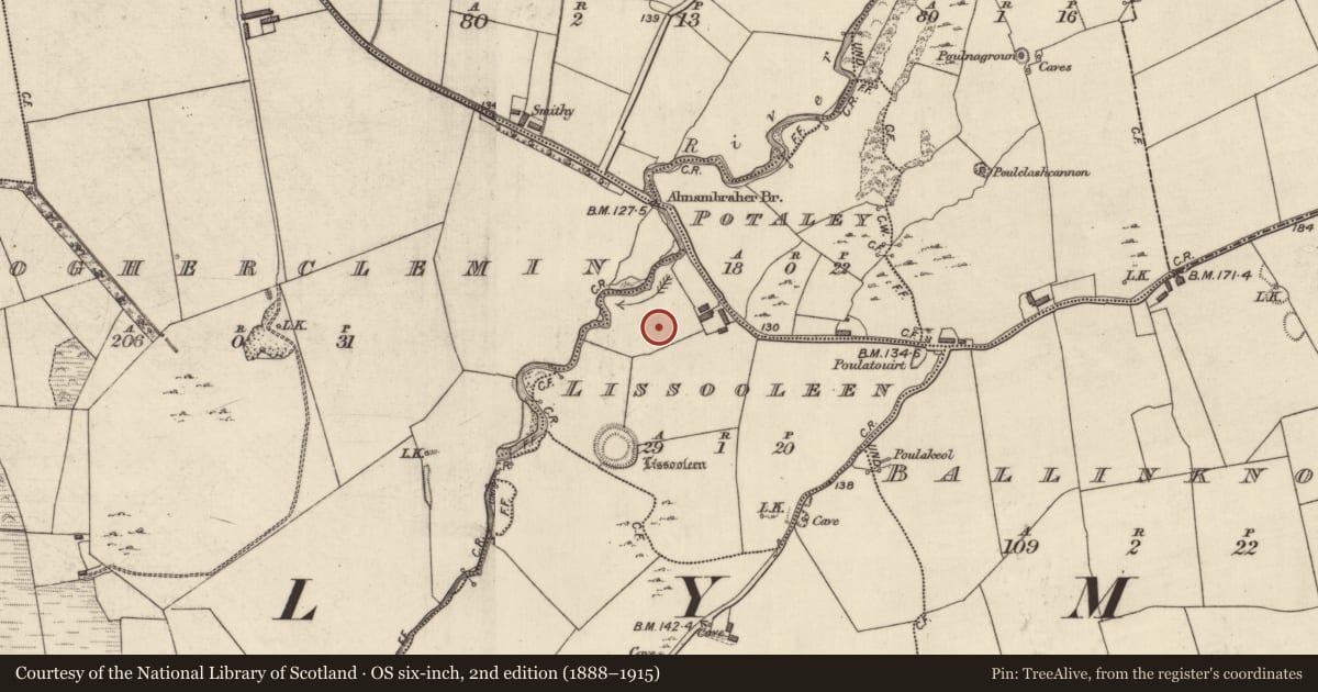 Ordnance Survey six-inch map, 2nd edition (1888–1915) covering the location of Linear earthwork, Lissooleen, County Kerry, with a pin at the register's coordinates