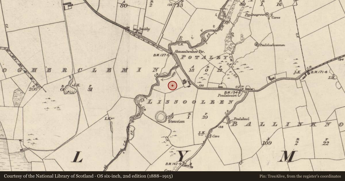 Ordnance Survey six-inch map, 2nd edition (1888–1915) covering the location of Burnt mound, Lissooleen, County Kerry, with a pin at the register's coordinates
