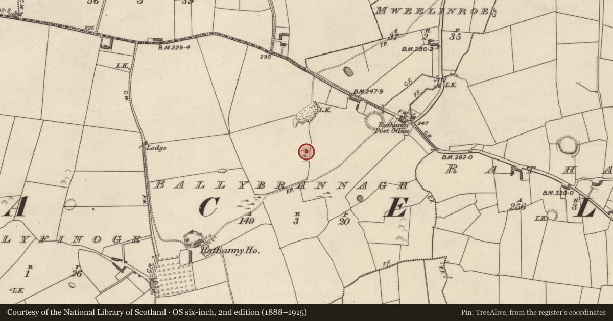 Ordnance Survey six-inch map, 2nd edition (1888–1915) covering the location of Enclosure, Ballybrannagh, County Kerry, with a pin at the register's coordinates