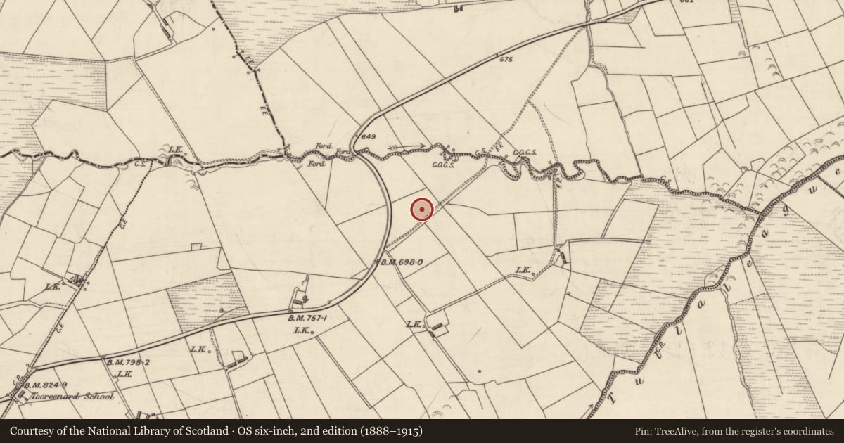 Ordnance Survey six-inch map, 2nd edition (1888–1915) covering the location of Fulacht fia, Tooreenard, County Kerry, with a pin at the register's coordinates