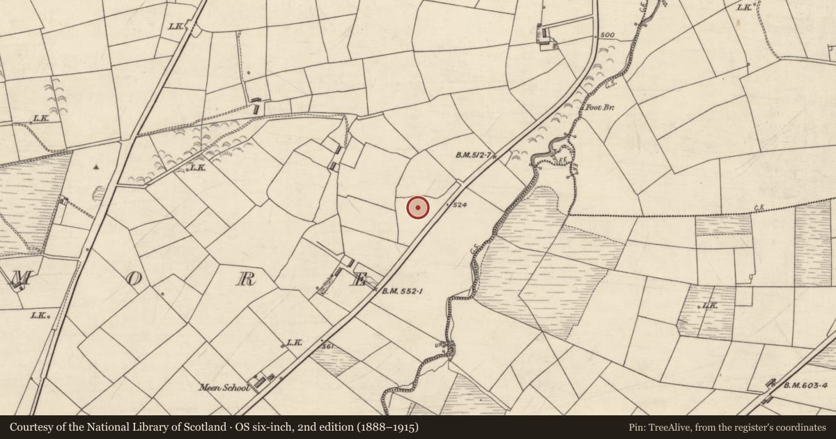 Ordnance Survey six-inch map, 2nd edition (1888–1915) covering the location of Fulacht fia, Tooreenmore, County Kerry, with a pin at the register's coordinates