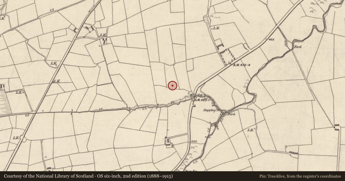 Ordnance Survey six-inch map, 2nd edition (1888–1915) covering the location of Fulacht fia, Ballyduff, County Kerry, with a pin at the register's coordinates