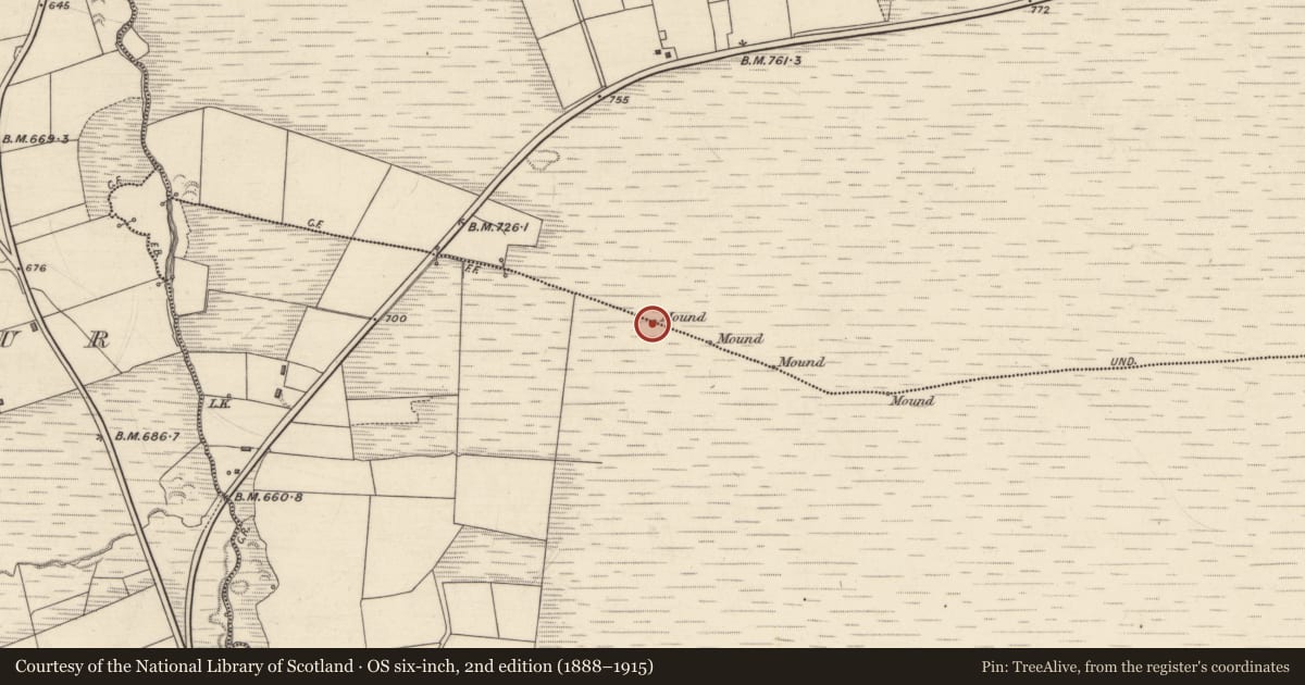 Ordnance Survey six-inch map, 2nd edition (1888–1915) covering the location of Boundary mound, Tooreenagowan, Lyre, County Kerry, with a pin at the register's coordinates