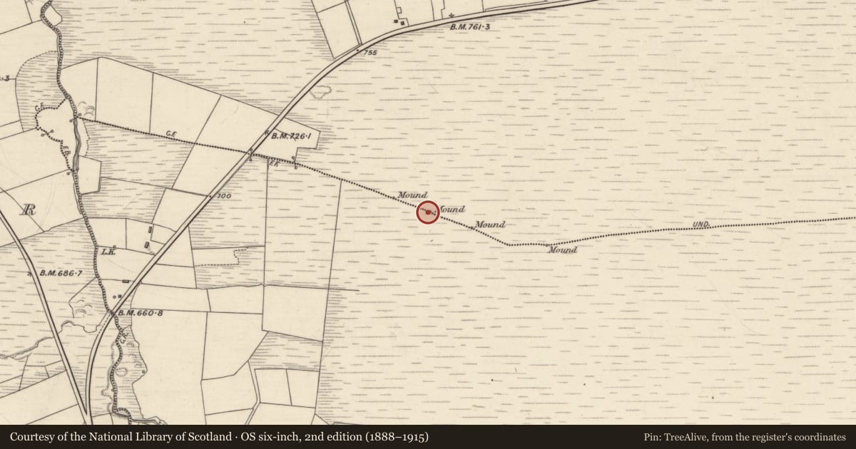 Ordnance Survey six-inch map, 2nd edition (1888–1915) covering the location of Boundary mound, Lyre, Tooreenagowan, County Kerry, with a pin at the register's coordinates