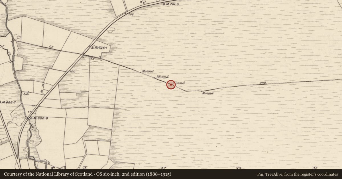 Ordnance Survey six-inch map, 2nd edition (1888–1915) covering the location of Boundary mound, Lyre, Tooreenagowan, County Kerry, with a pin at the register's coordinates