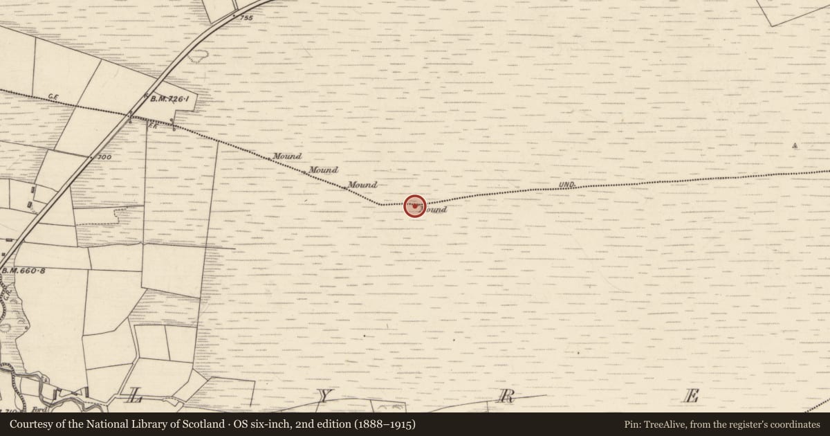 Ordnance Survey six-inch map, 2nd edition (1888–1915) covering the location of Boundary mound, Lyre, Tooreenagowan, County Kerry, with a pin at the register's coordinates