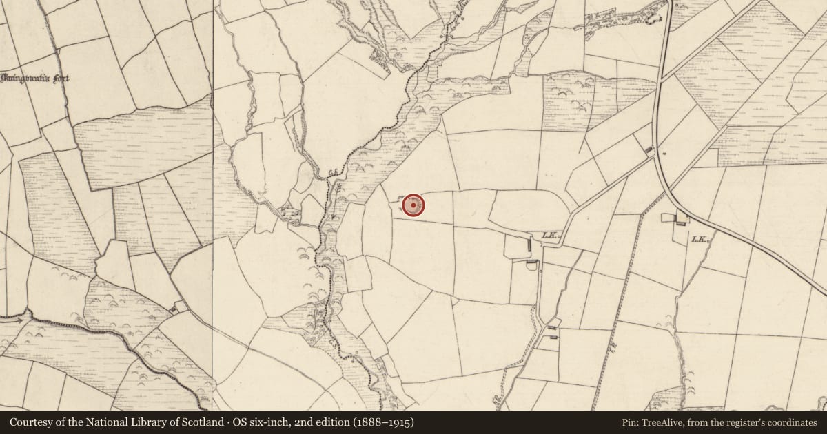Ordnance Survey six-inch map, 2nd edition (1888–1915) covering the location of Enclosure, Fahaduff, County Kerry, with a pin at the register's coordinates