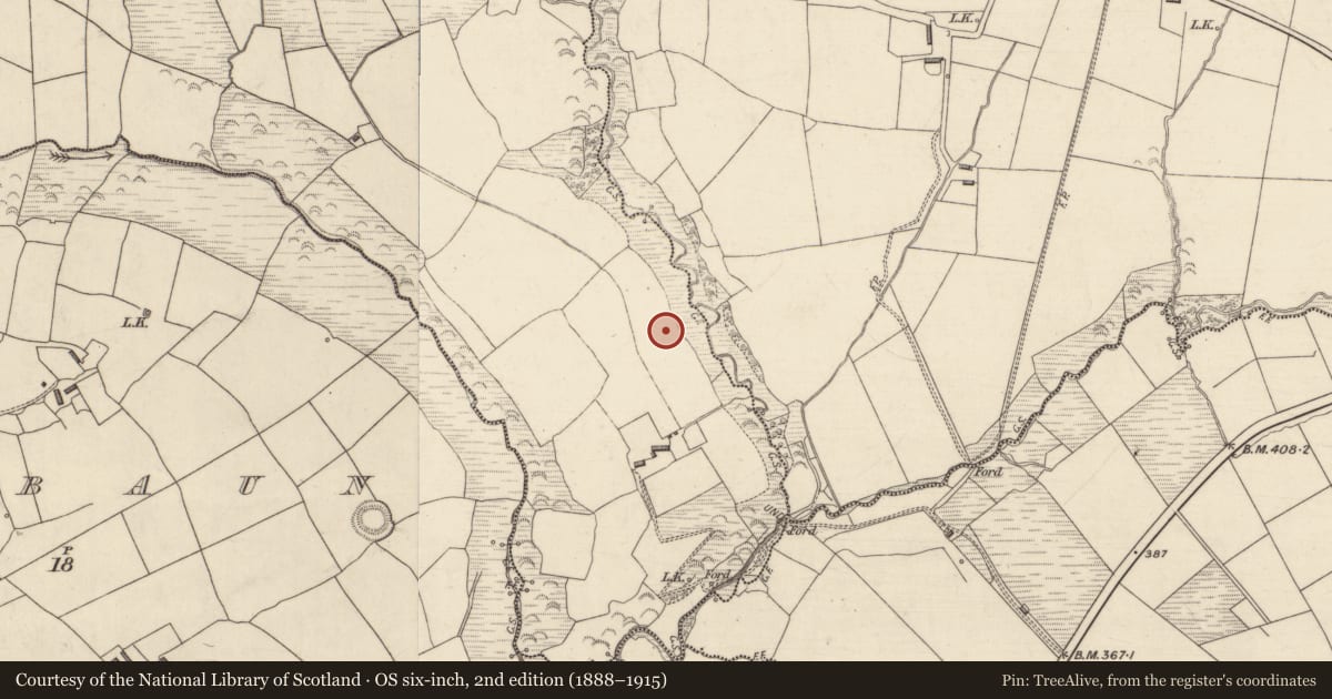 Ordnance Survey six-inch map, 2nd edition (1888–1915) covering the location of Enclosure, Tullagubbeen, County Kerry, with a pin at the register's coordinates