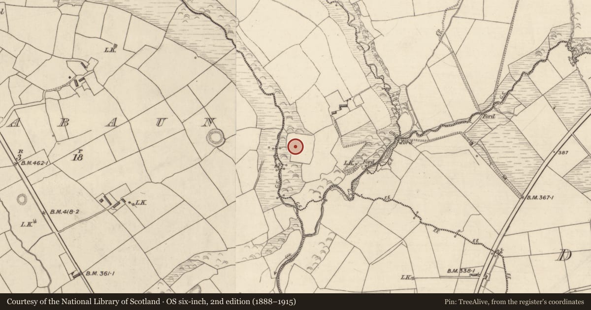 Ordnance Survey six-inch map, 2nd edition (1888–1915) covering the location of Enclosure, Tullagubbeen, County Kerry, with a pin at the register's coordinates