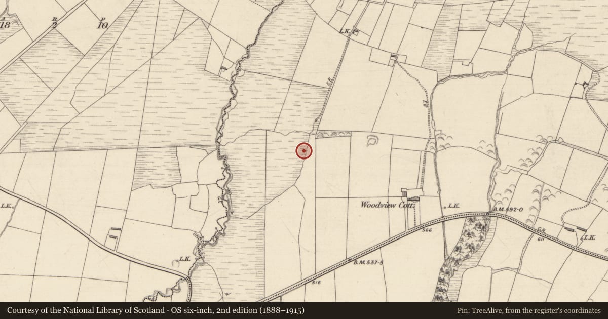Ordnance Survey six-inch map, 2nd edition (1888–1915) covering the location of Fulacht fia, Ahaneboy, County Kerry, with a pin at the register's coordinates