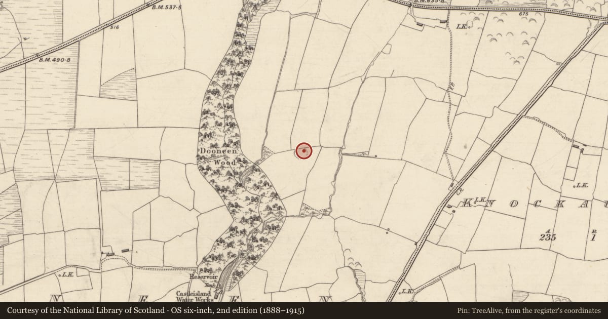 Ordnance Survey six-inch map, 2nd edition (1888–1915) covering the location of Enclosure, Dooneen, County Kerry, with a pin at the register's coordinates