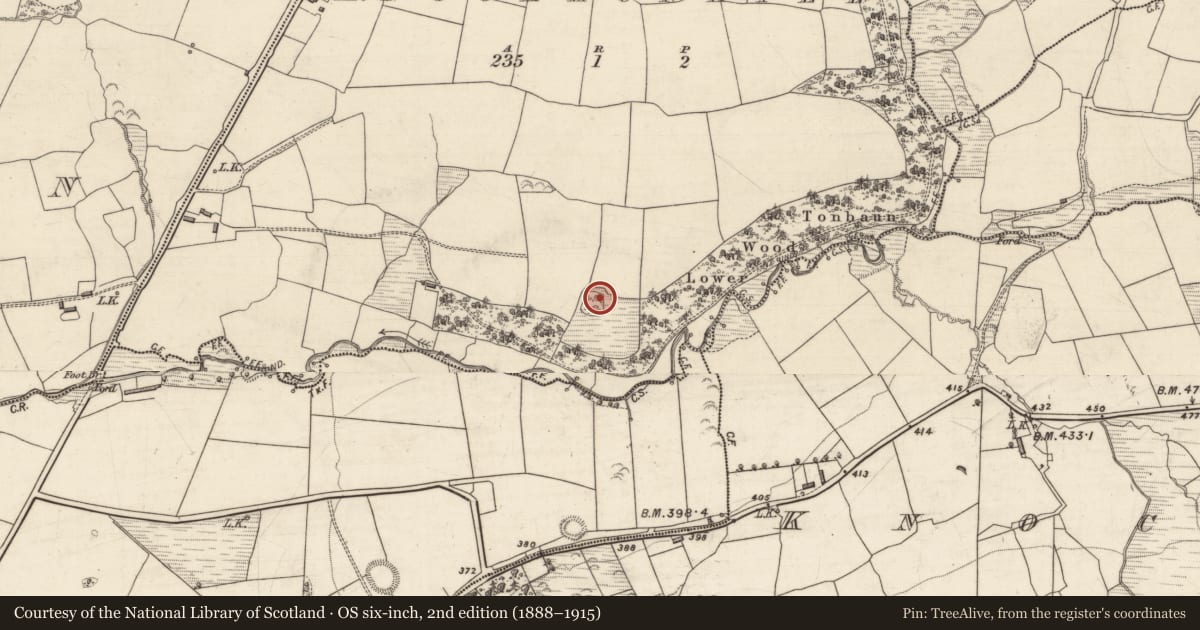 Ordnance Survey six-inch map, 2nd edition (1888–1915) covering the location of Ringfort - rath, Knockaunatee, County Kerry, with a pin at the register's coordinates