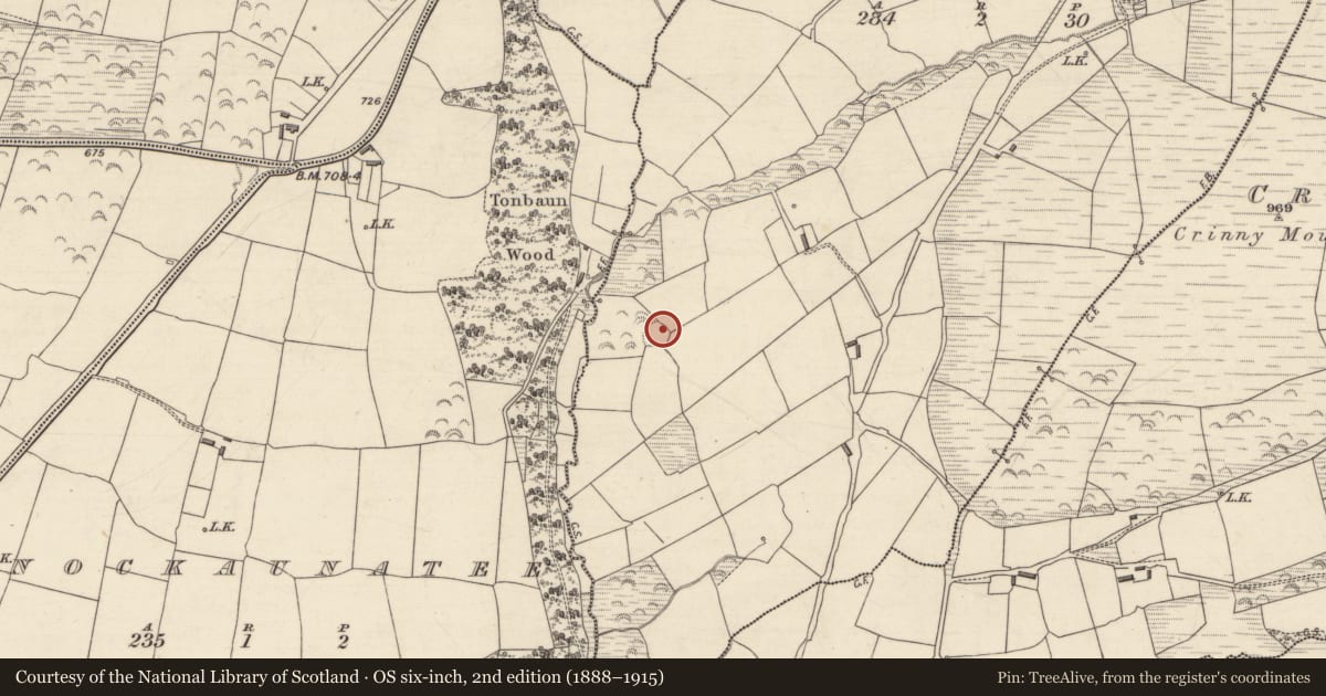 Ordnance Survey six-inch map, 2nd edition (1888–1915) covering the location of Ringfort - rath, Crinny West, County Kerry, with a pin at the register's coordinates