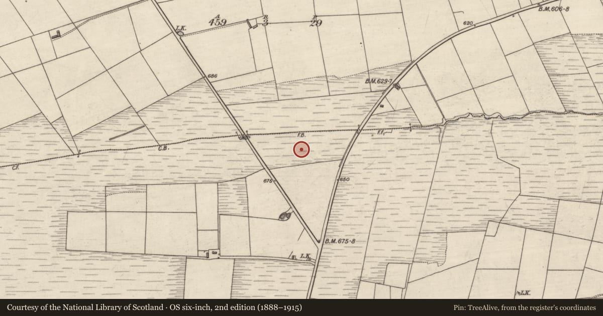 Ordnance Survey six-inch map, 2nd edition (1888–1915) covering the location of Fulacht fia, Gneeves, County Kerry, with a pin at the register's coordinates