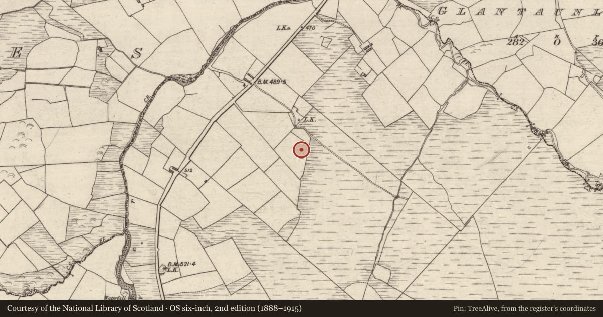 Ordnance Survey six-inch map, 2nd edition (1888–1915) covering the location of Fulacht fia, Reacaslagh, County Kerry, with a pin at the register's coordinates