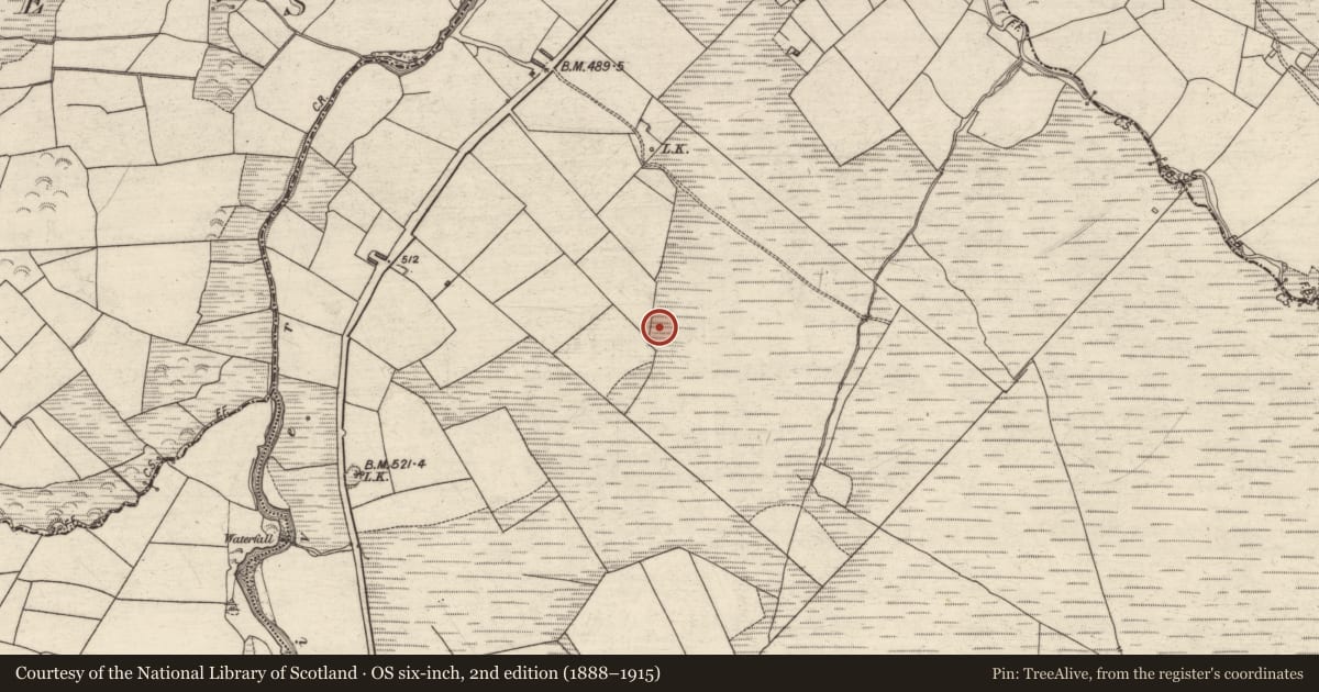 Ordnance Survey six-inch map, 2nd edition (1888–1915) covering the location of Fulacht fia, Reacaslagh, County Kerry, with a pin at the register's coordinates