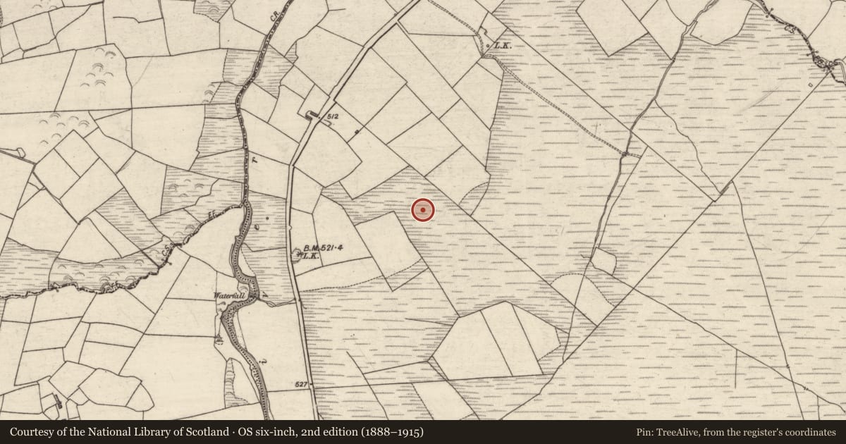 Ordnance Survey six-inch map, 2nd edition (1888–1915) covering the location of Enclosure, Reacaslagh, County Kerry, with a pin at the register's coordinates